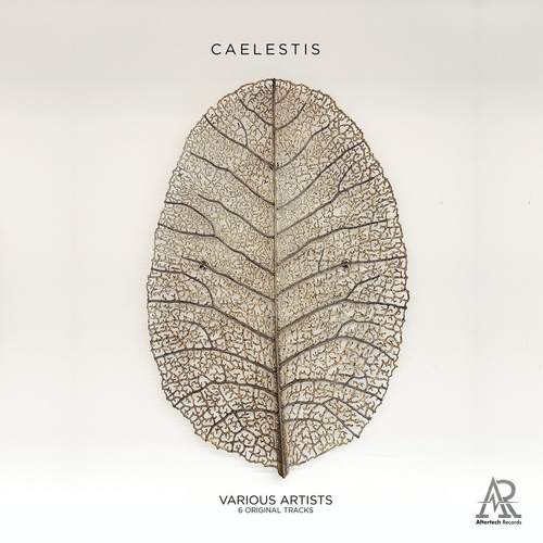 VA - Caelestis [AR075]